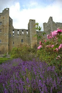 Bolton Castle 1090284 Image 6